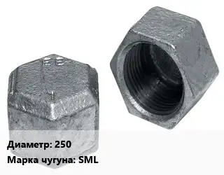 Заглушка чугунная 250 Марка: SML